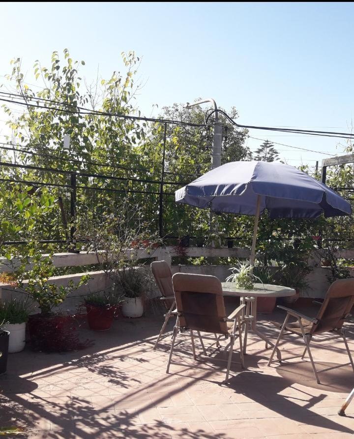 Apartamento Departamento Centrico - A Dos Cuadras De Terminal - Zona Residencial *