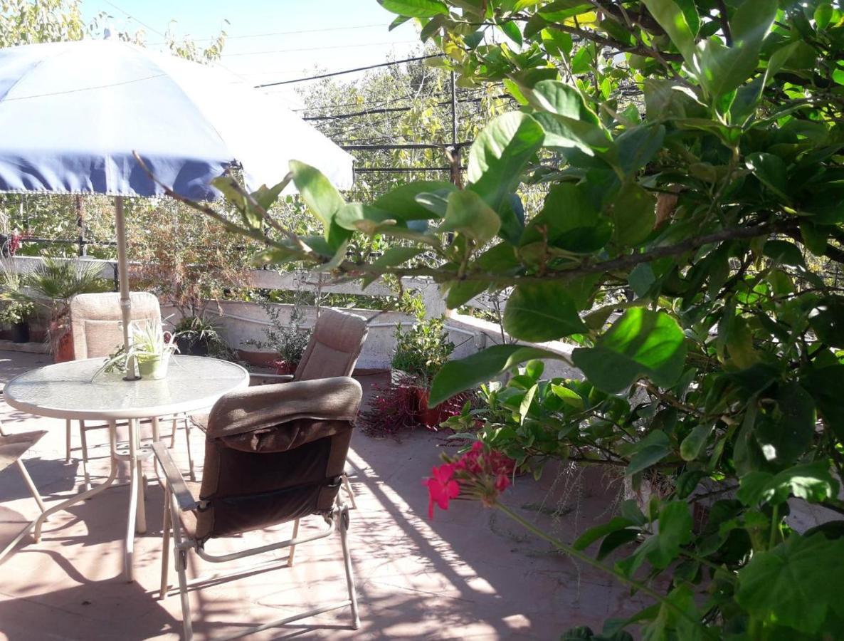 Departamento Centrico - A Dos Cuadras De Terminal - Zona Residencial * Mendoza