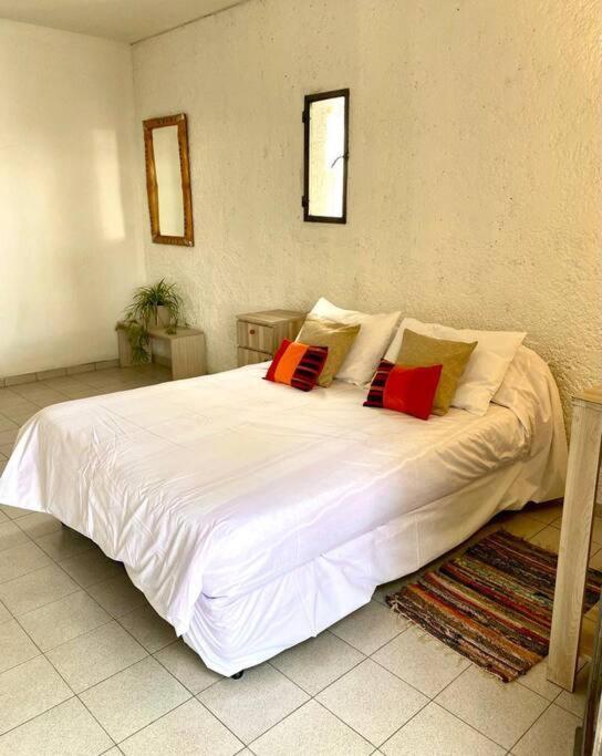 Duplex Con Terraza Y Cochera Para Auto, No Camioneta! Mendoza