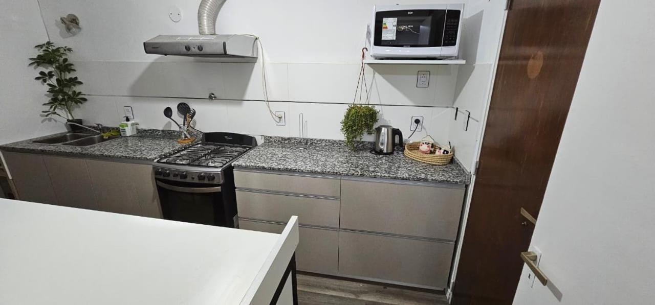 Mza Departamento Peatonal Sarmiento