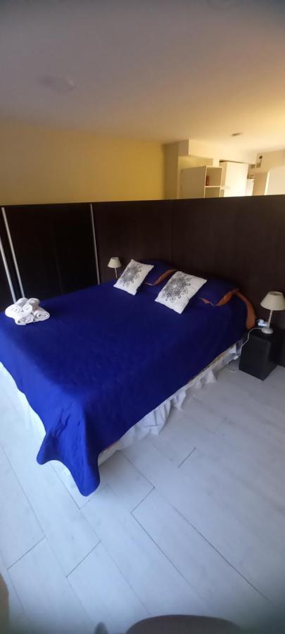 Confortable Y Amplio Loft * Mendoza
