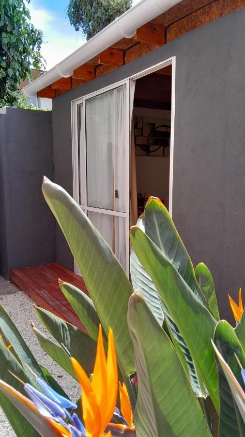 Hermoso Departamento En La Ciudad De *
