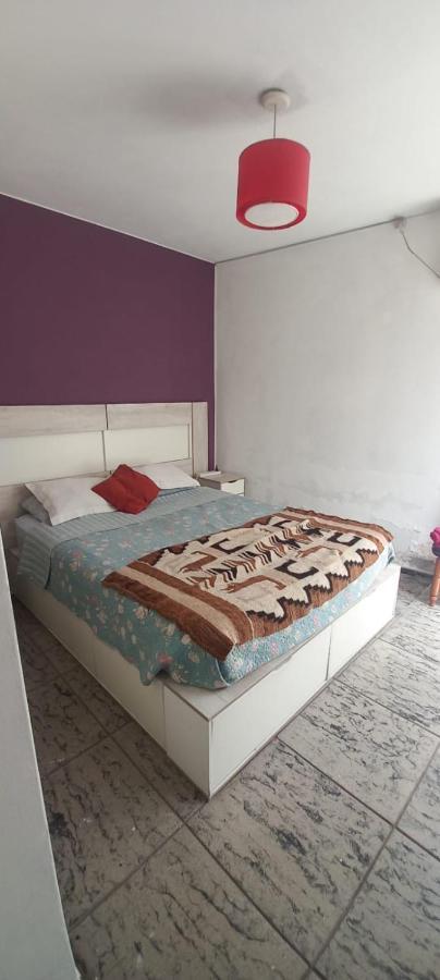 Apartamento Departamento Centrico Y Silencioso Con Patio Privado