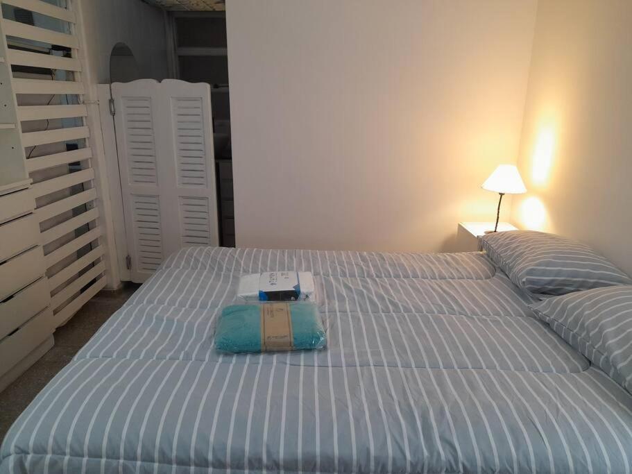 Amadeus Apartamento Mendoza