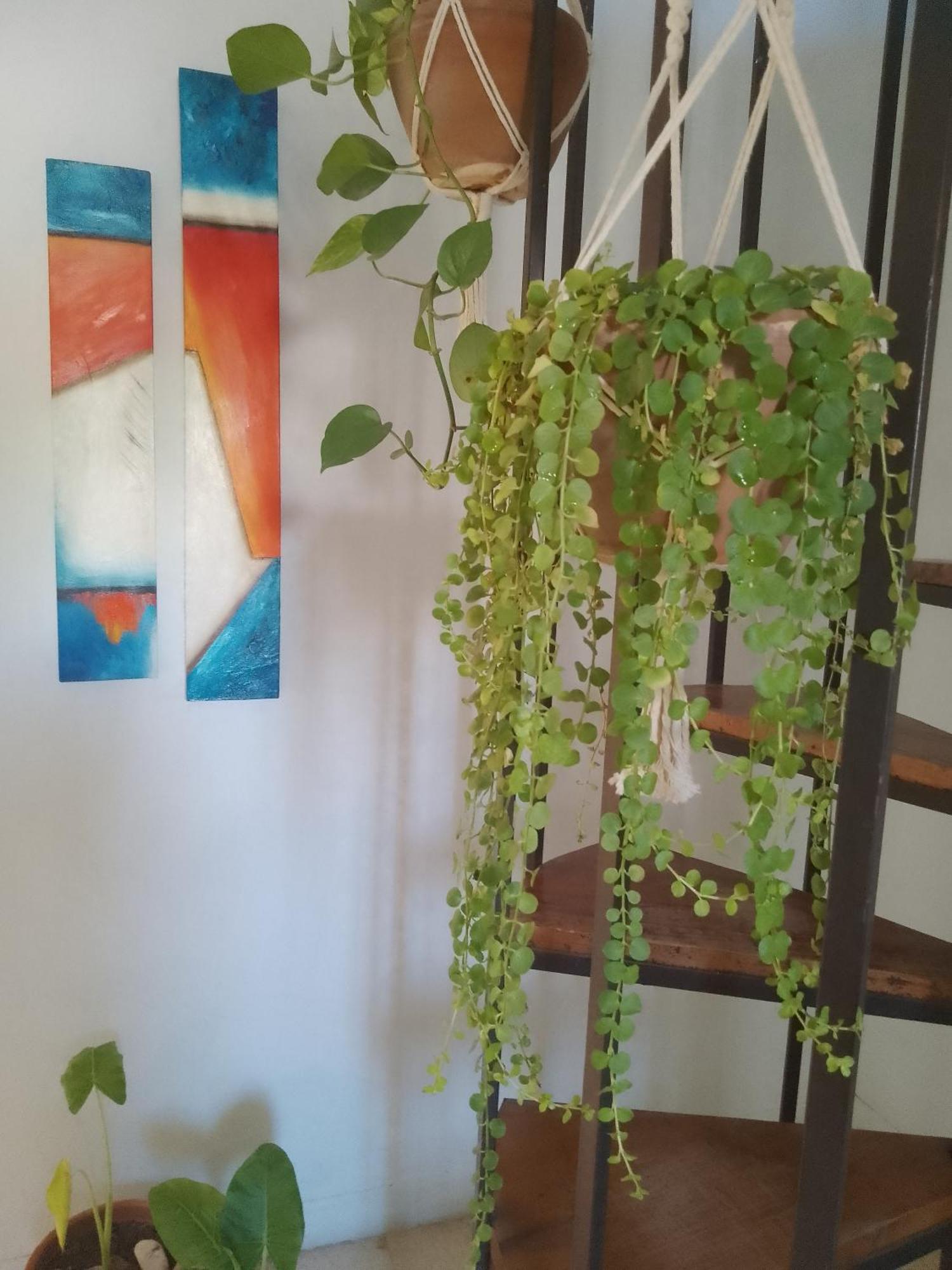 Habitación en casa particular Arg.