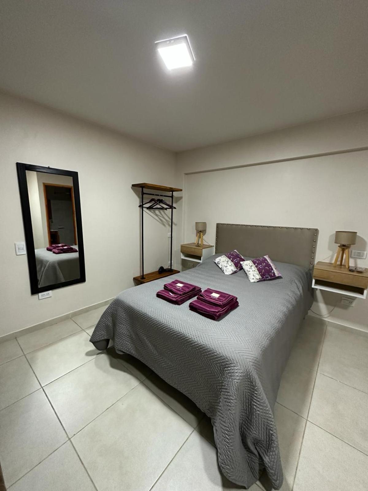 Loft Centrico Ii Mendoza