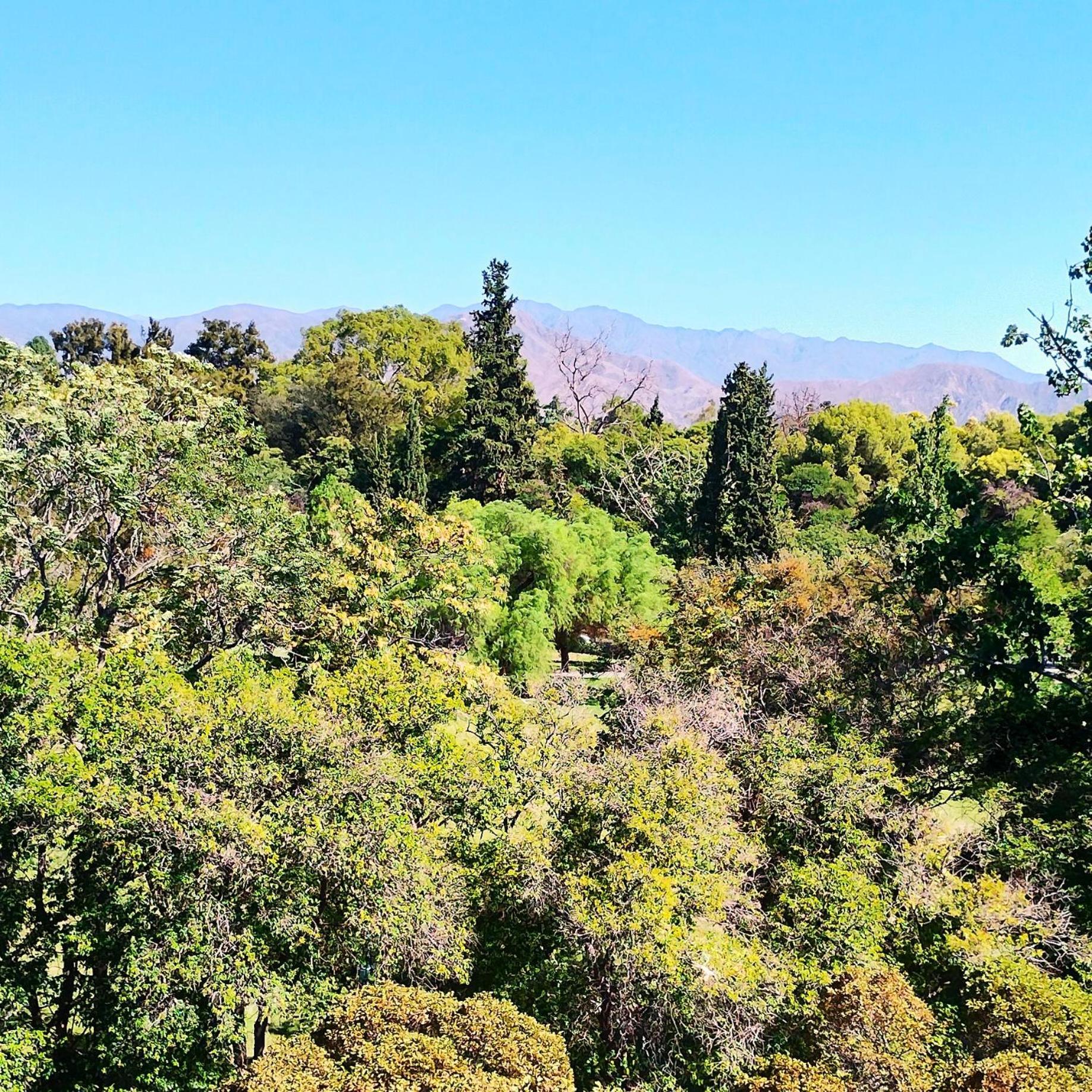 Apartamento Departamento En Con Vista A La Montana Mendoza