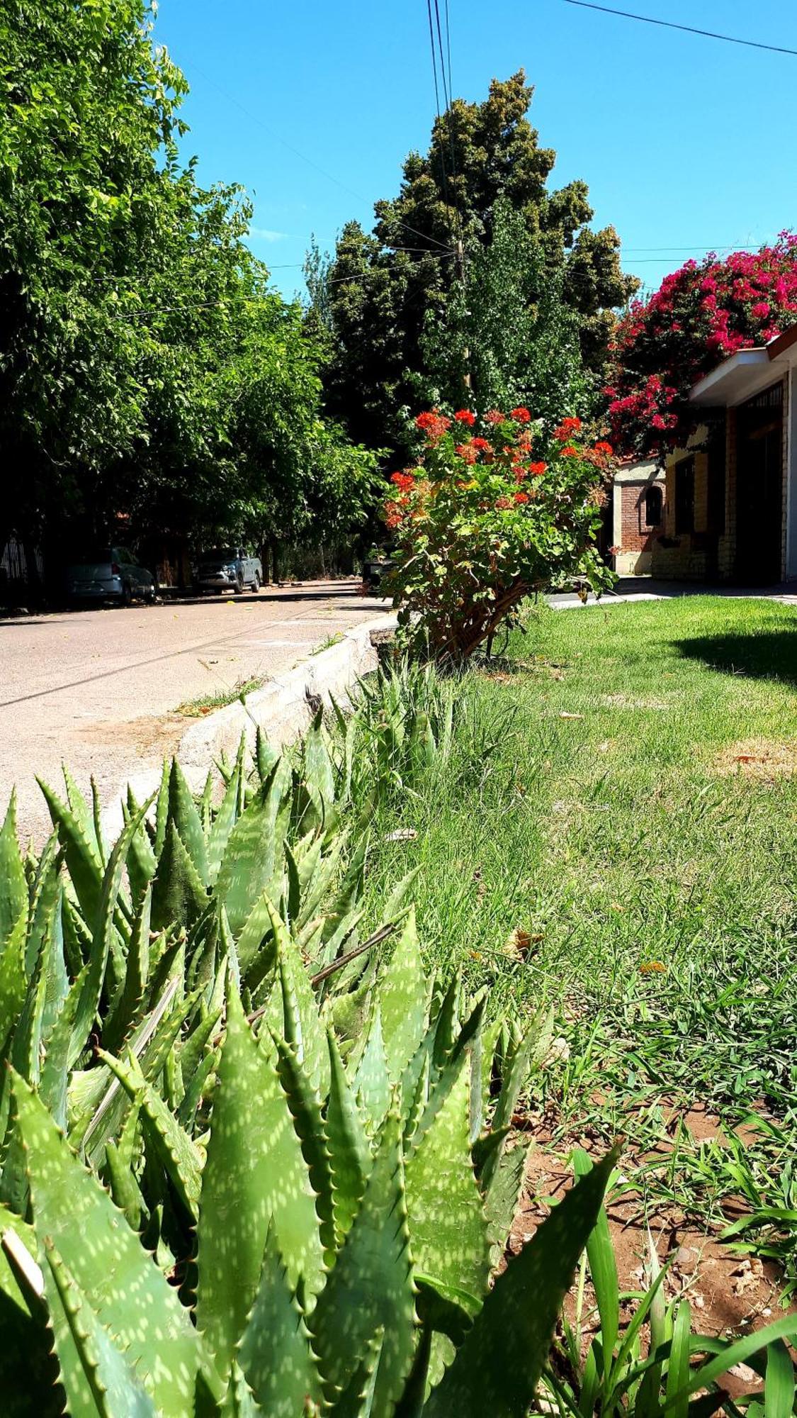Encantador Departamento En Domaine Laborde Ii * Mendoza