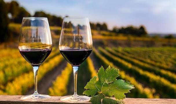 Apartamento Es Montana, Paz Y Malbec *