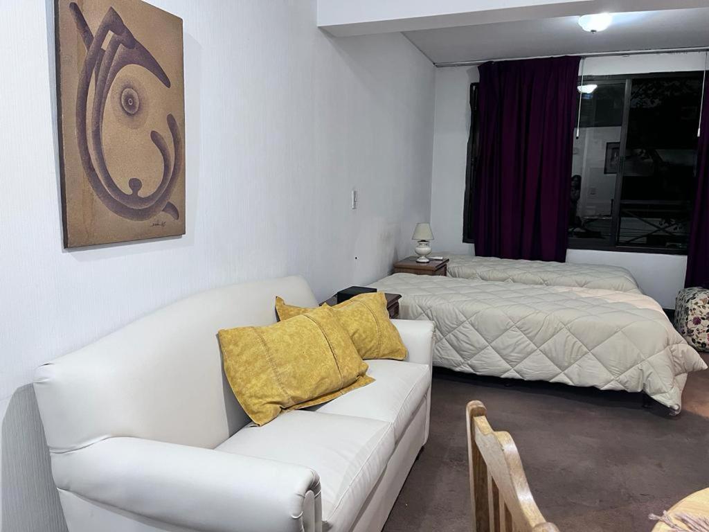 Departamento Horcones Penitentes Mendoza