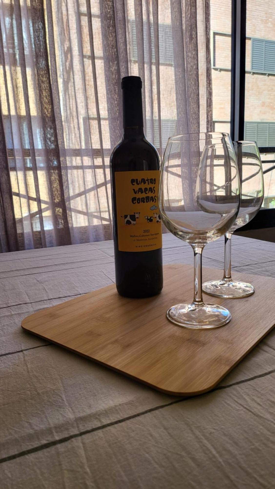 Apartamento Departamento Mendoza. Nuevo Y Mejor Ubicacion