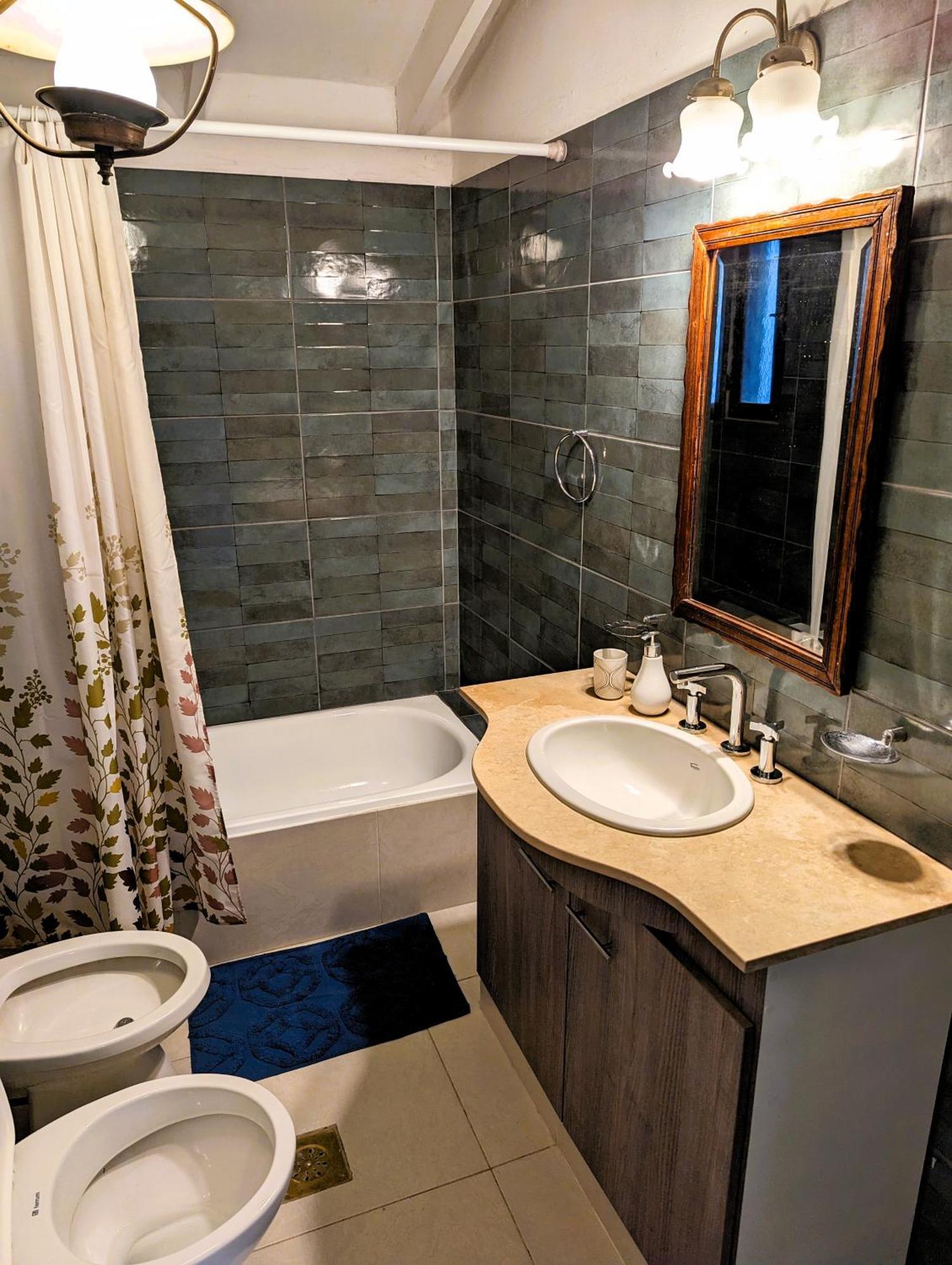 Big Beautiful House With Garden In 5ta Sección Neighbourhood * Mendoza