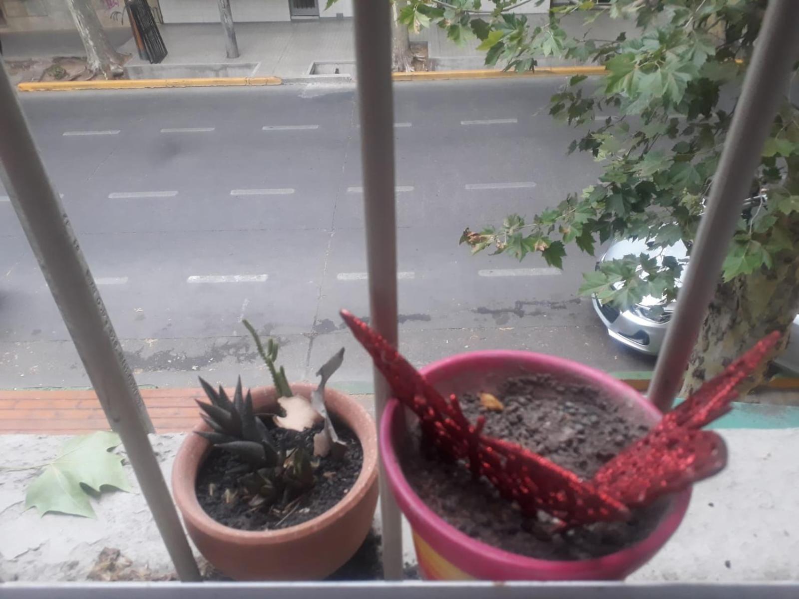 Renova Tu Energia En Mendoza