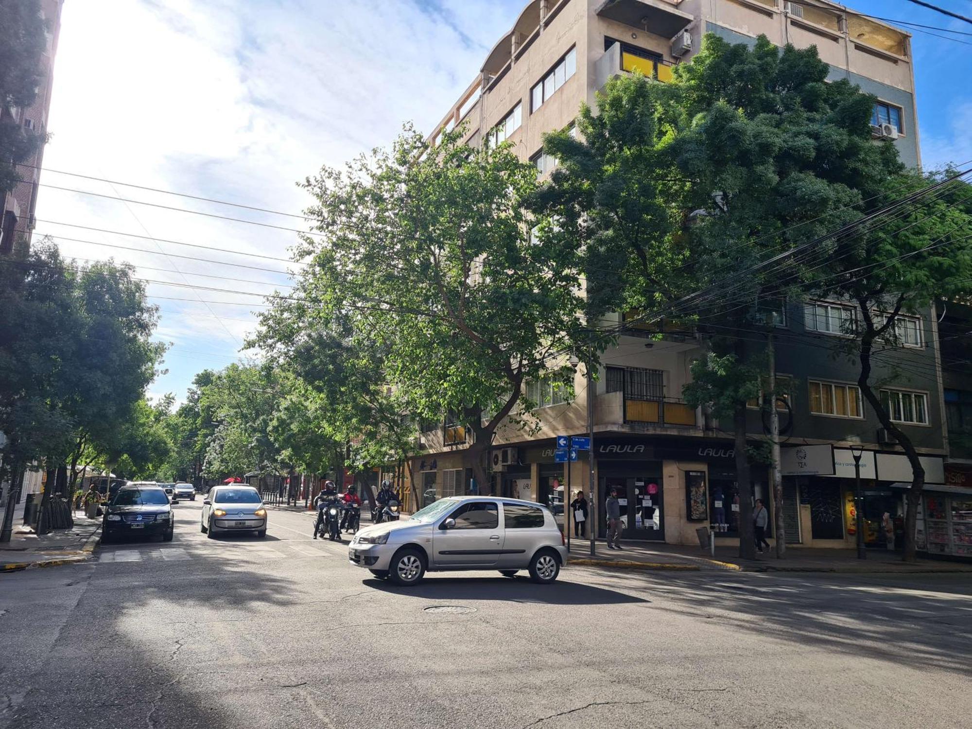 Bauza Ribot Departamento Boutique En Mendoza