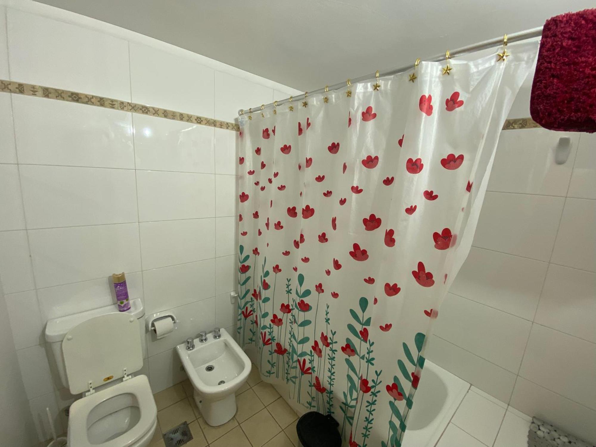 Oasis 1.6 *