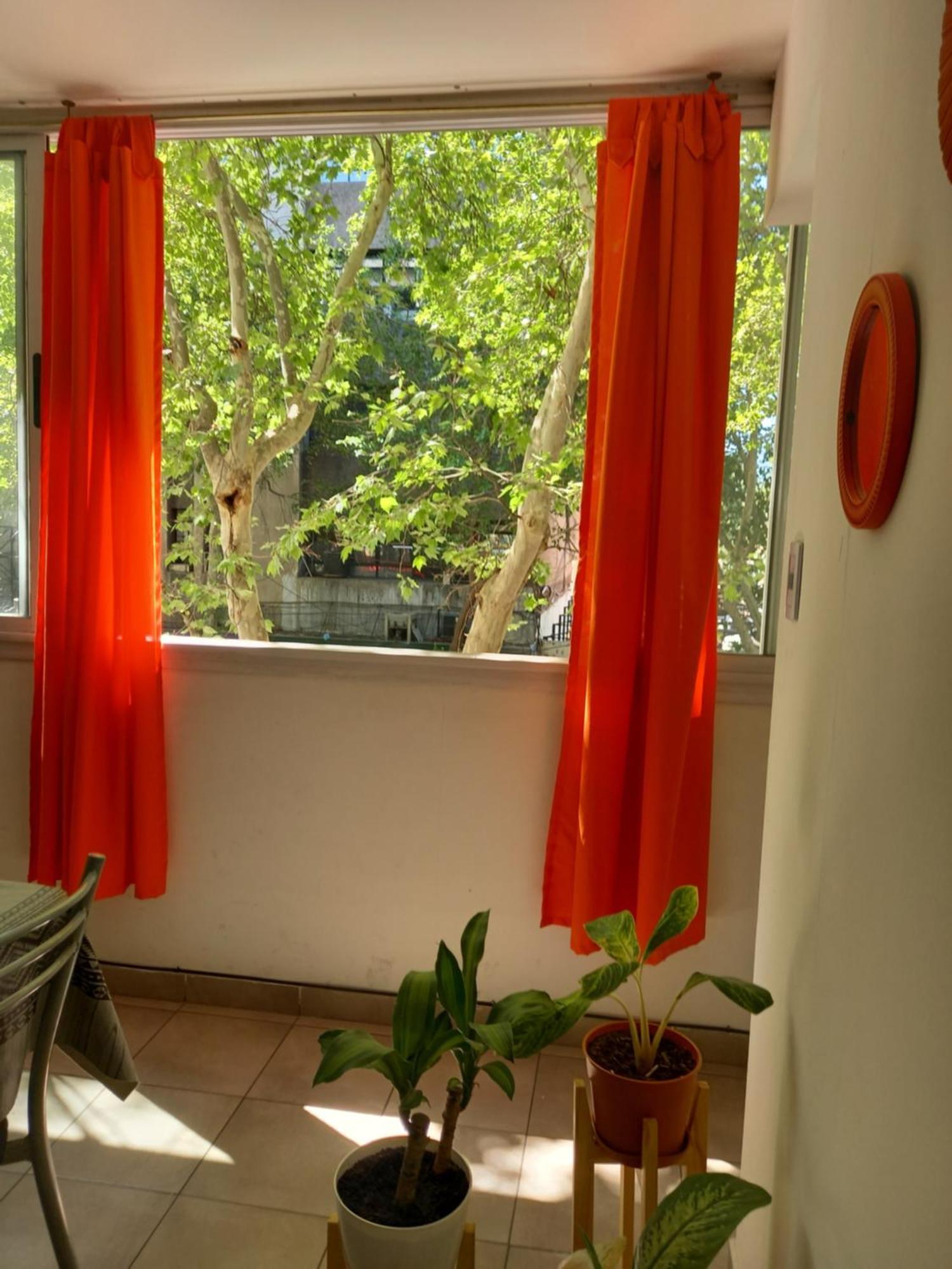 Loft Ubicacion Perfecta Apartamento