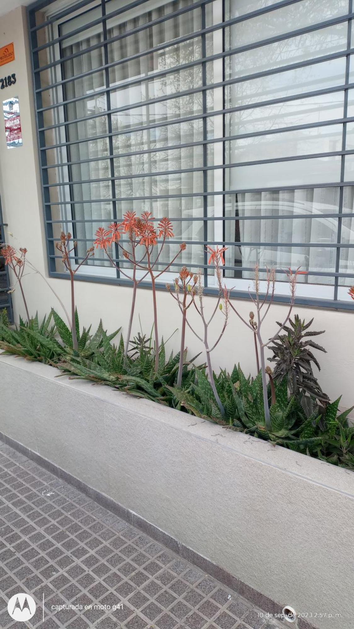Holiday home Santa Rosa Mendoza