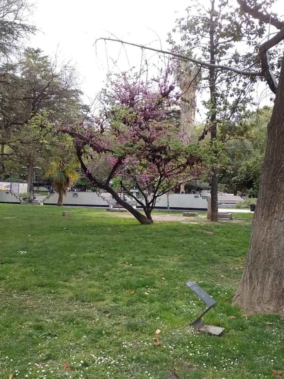 Maria Belen Apartamento Mendoza