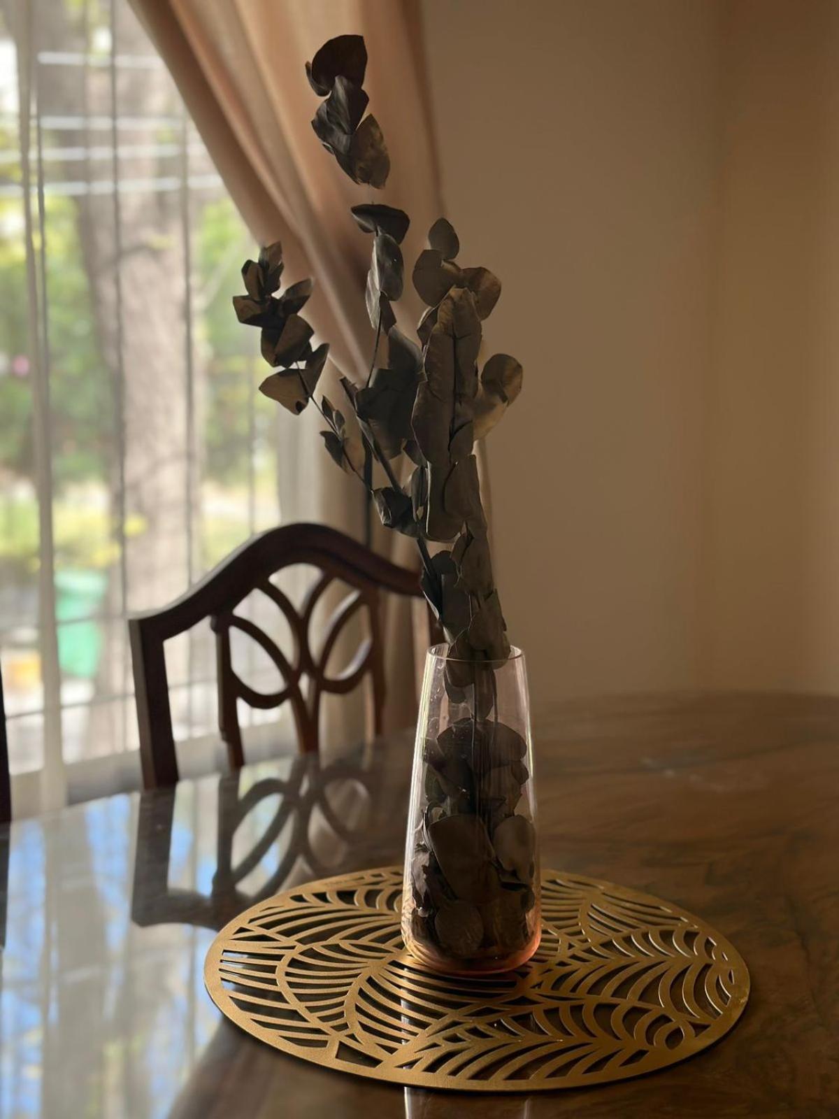 Apartamento Tiburcio Benegas