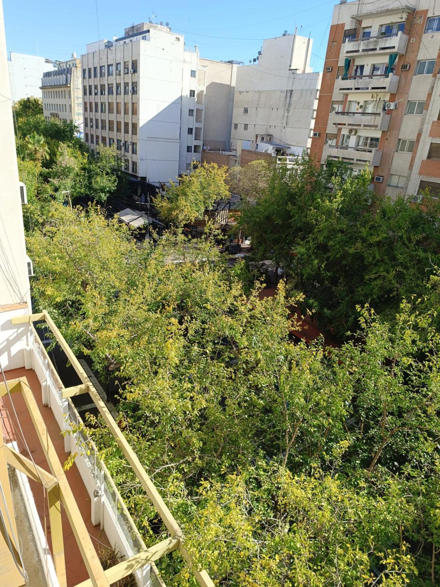Apartment Departamento En Peatonal, Centro De Mendoza!! Mendoza