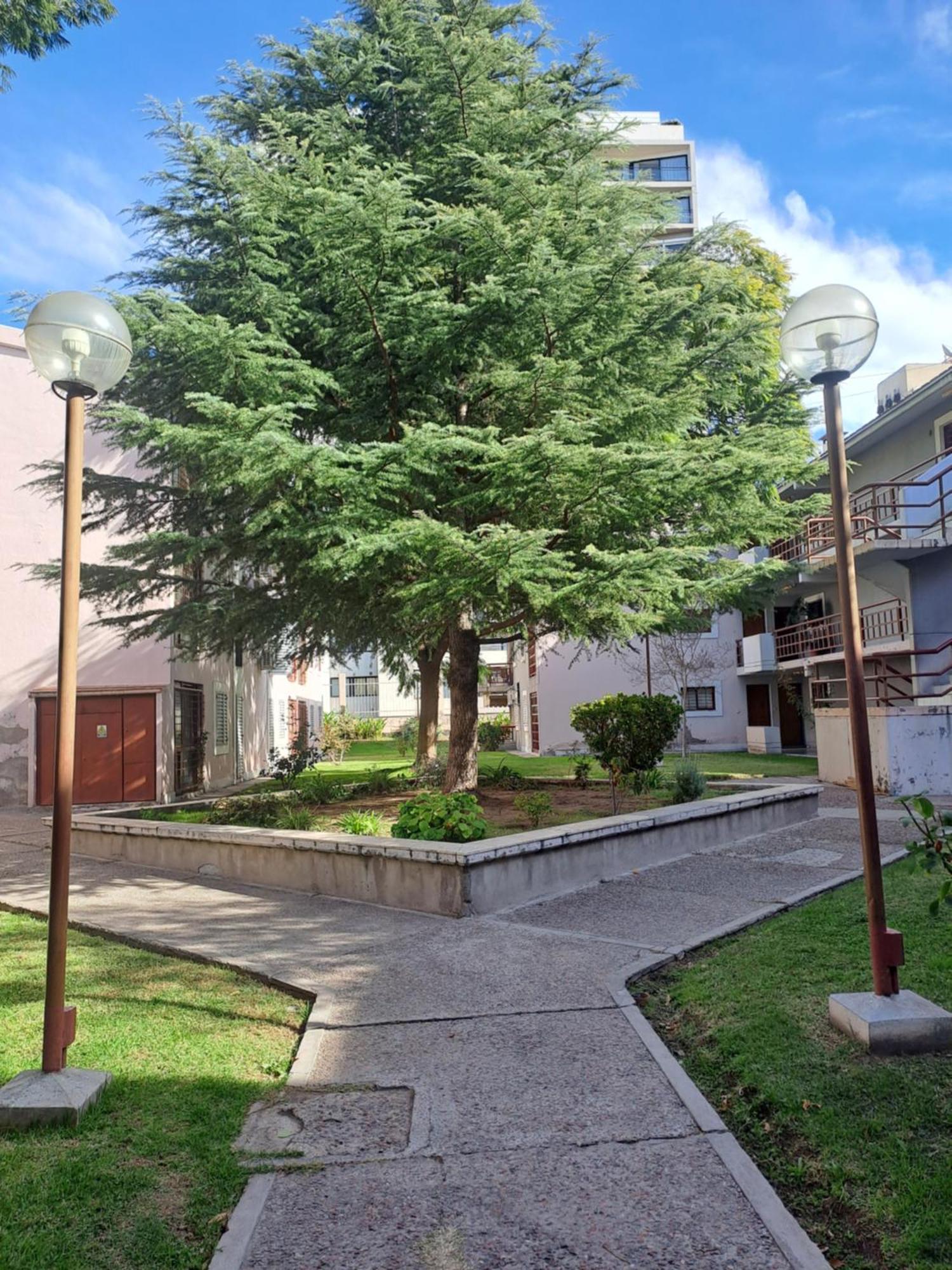 Apartamento Departamento Parque Centro