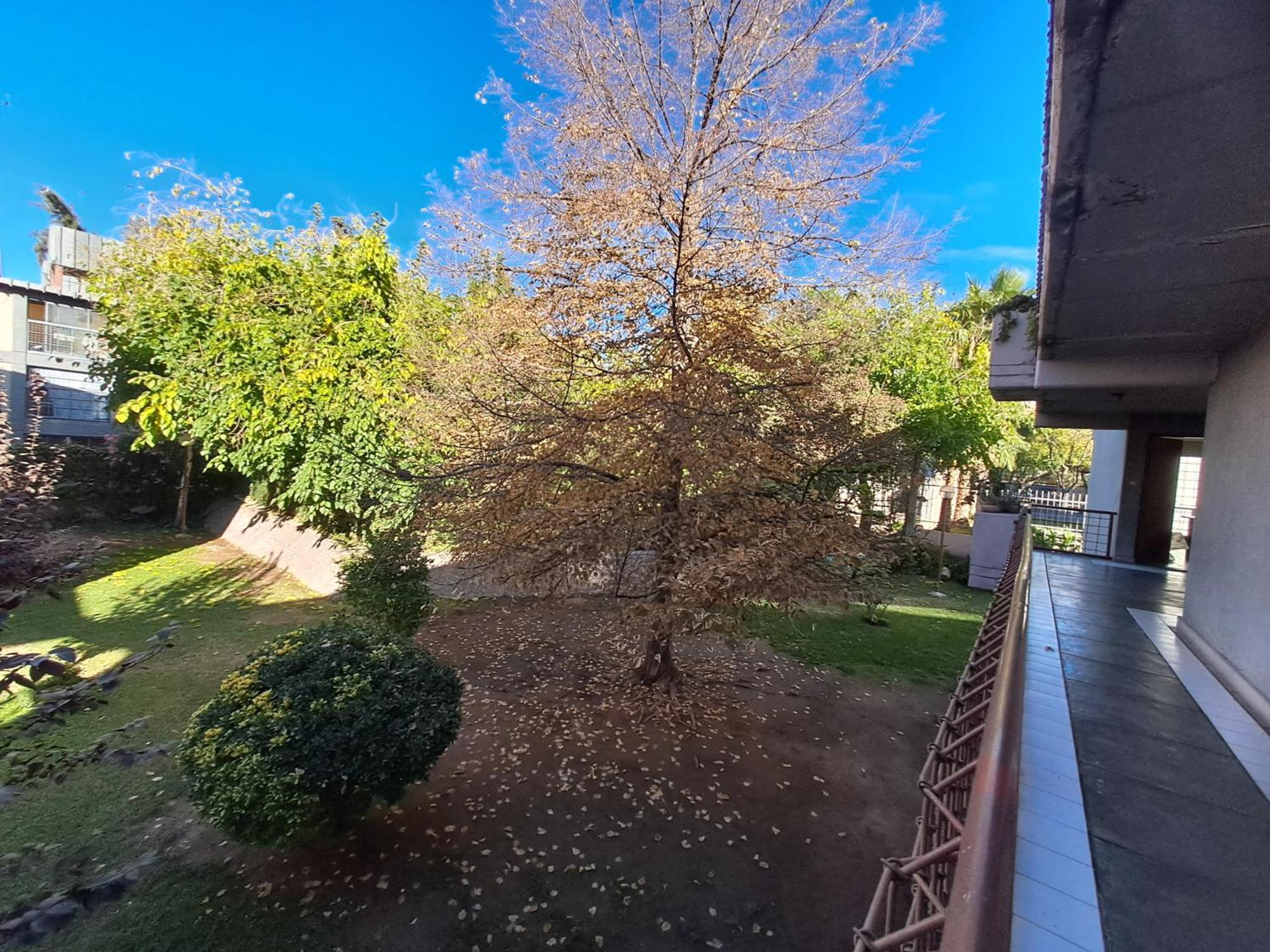 Departamento Parque Centro Apartamento Mendoza
