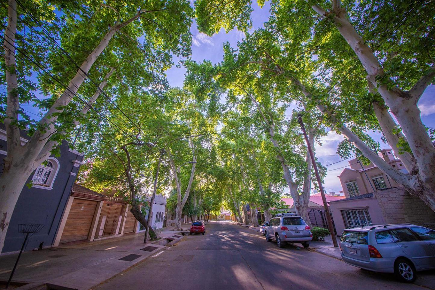 Urban Oasis Mendoza
