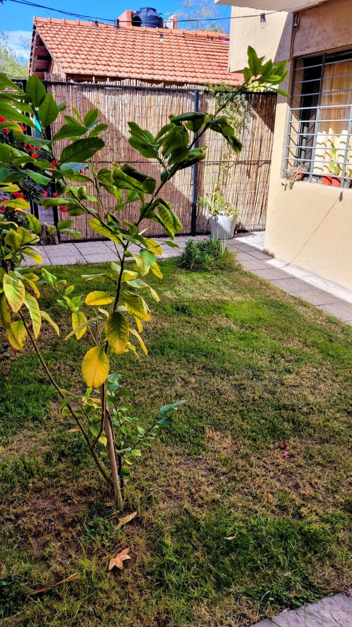 La Casita De La 5ta * Mendoza