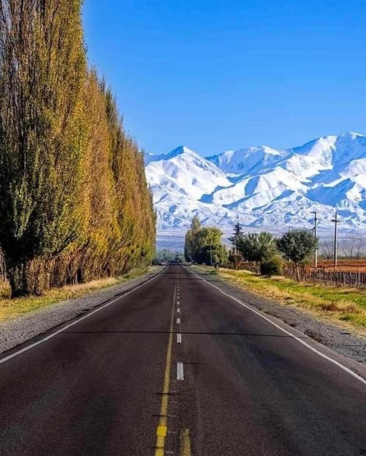 12 Mendoza