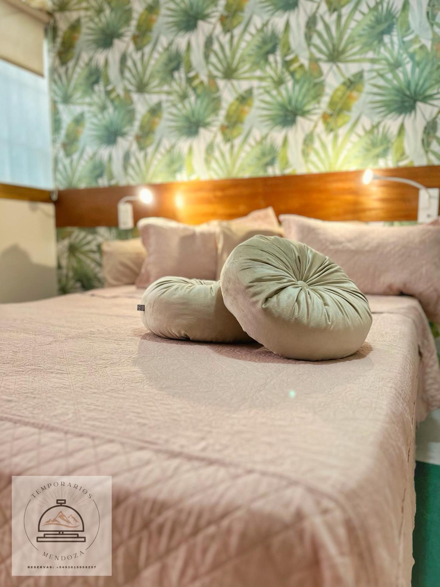 Apartamento Departamento Centrico Con Terraza Plaza Independencia *