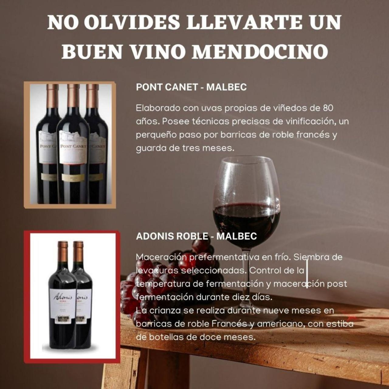 Cielo Andino Syrah -céntrico- Mendoza