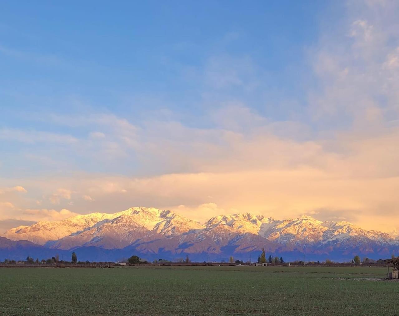 Es Montana, Paz Y Malbec