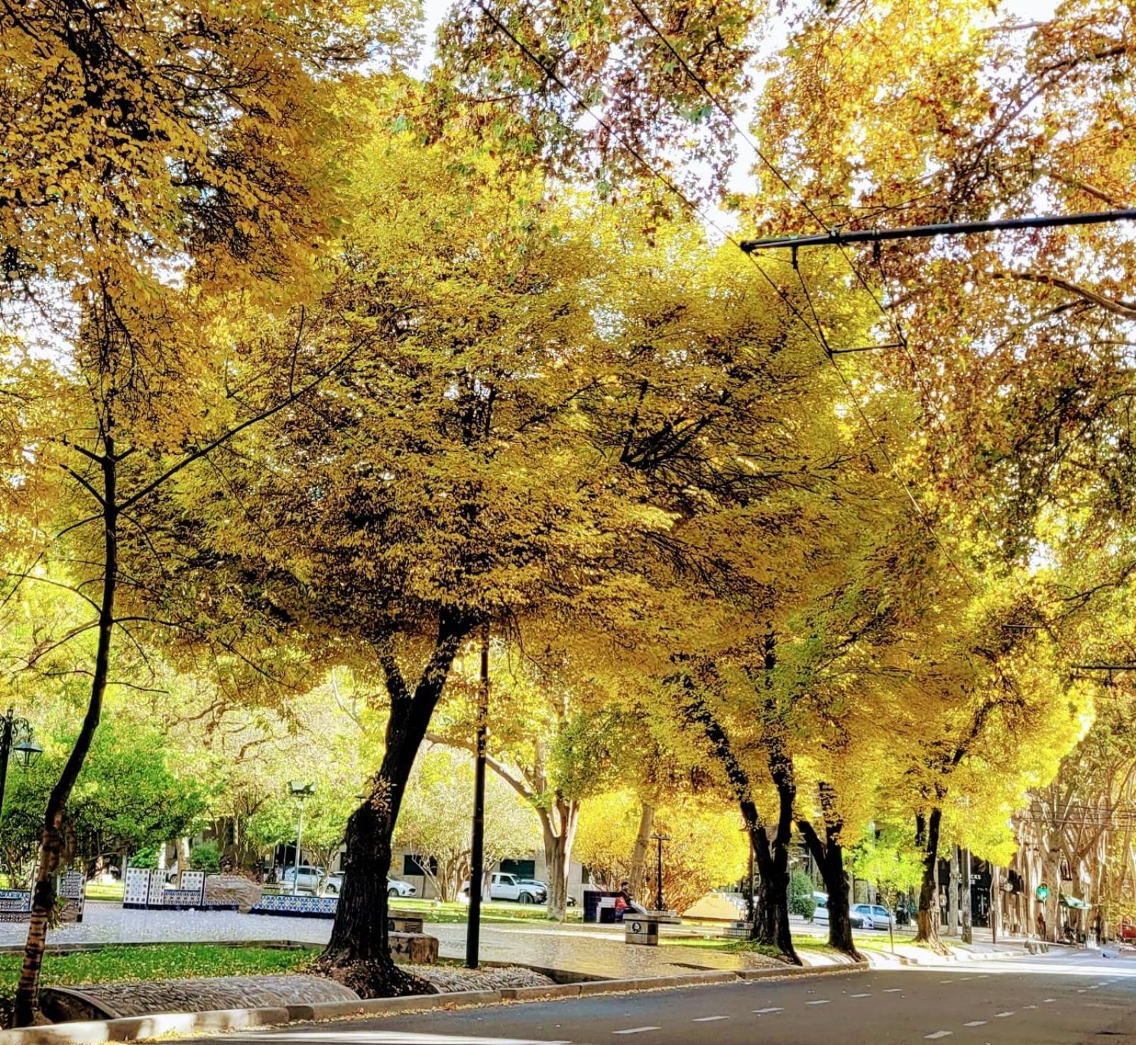 Es Montana, Paz Y Malbec Apartment Mendoza