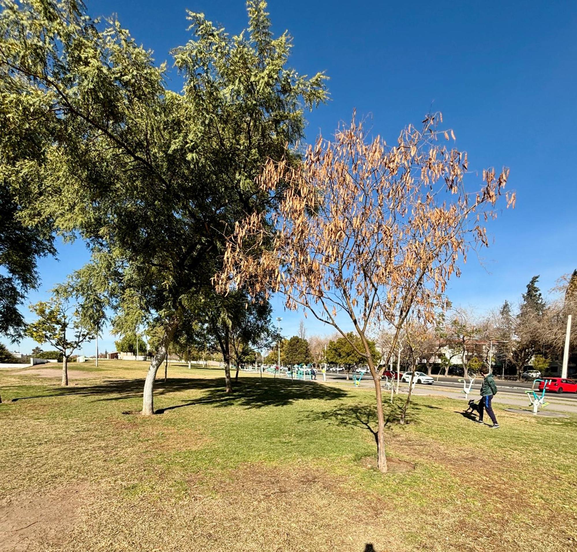 Torres Del Parque Mendoza