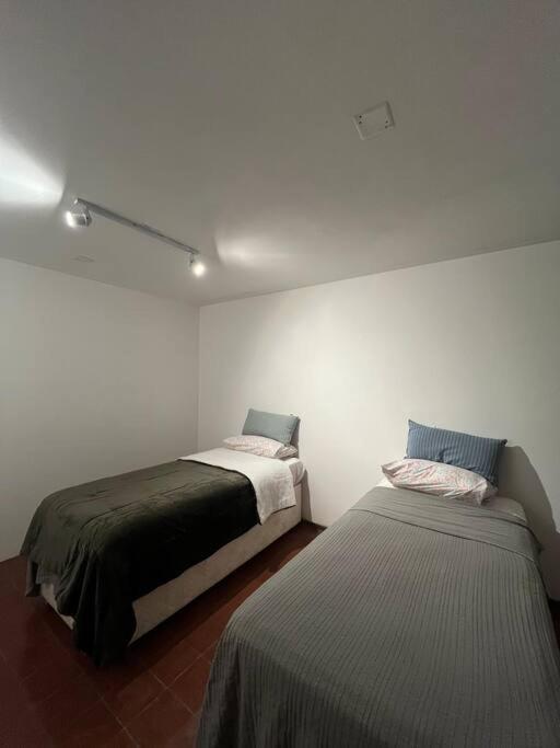 Amplio Departamento Centrico Apartamento Mendoza