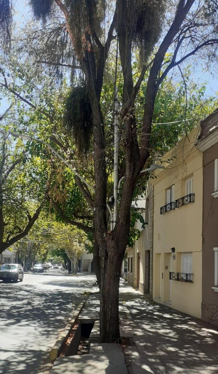 A Un Paso Del Parque *