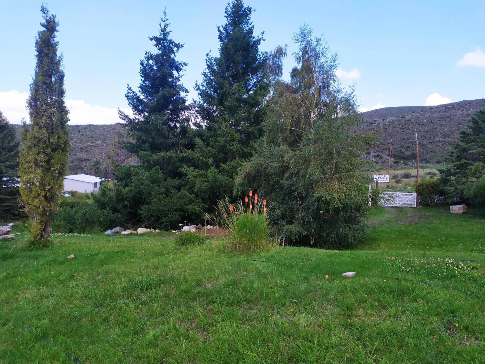 Oregones Del Valle *