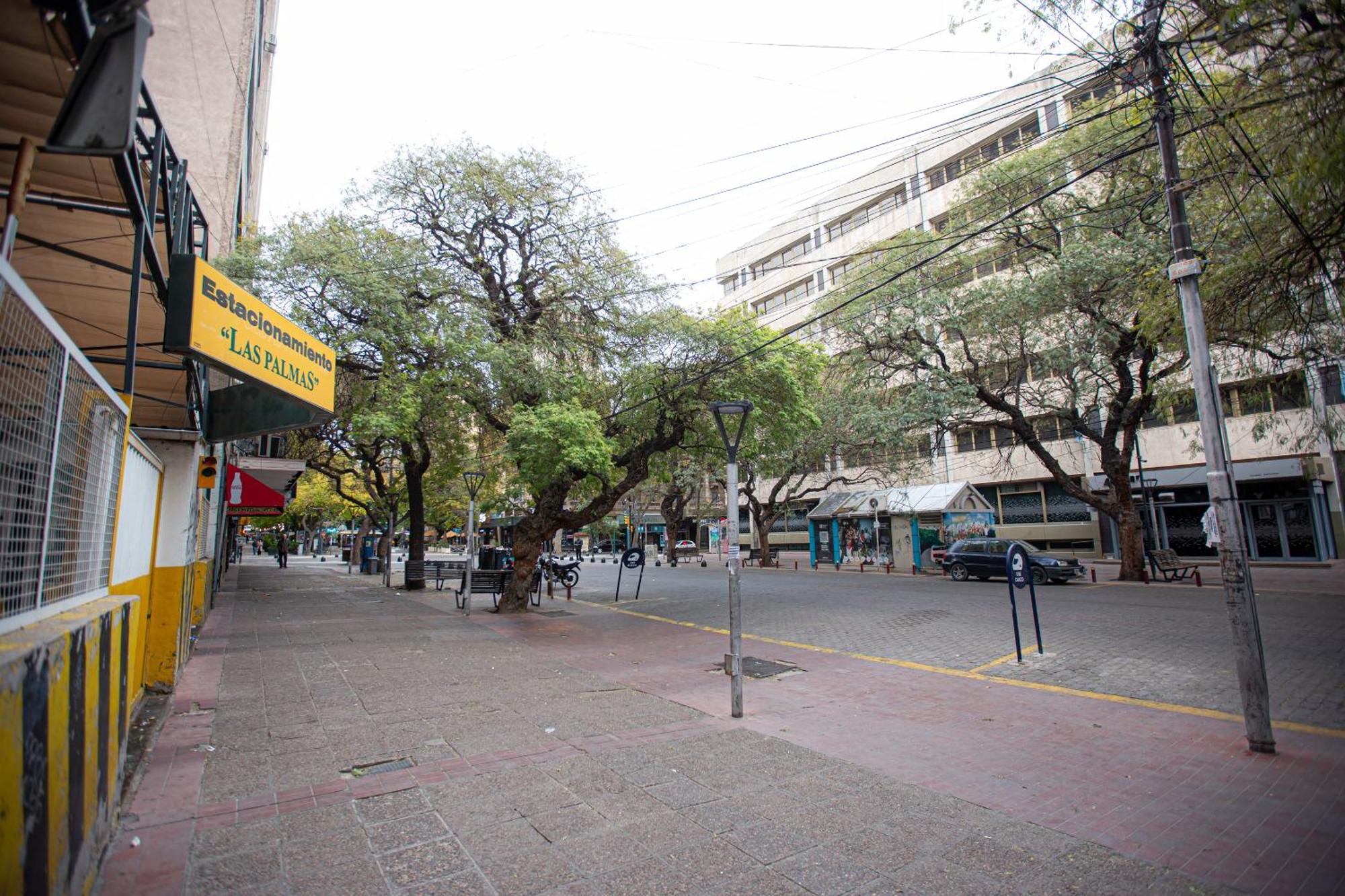 Semipiso Centrico Con Hermosas Vistas De La Ciudad Apartamento *