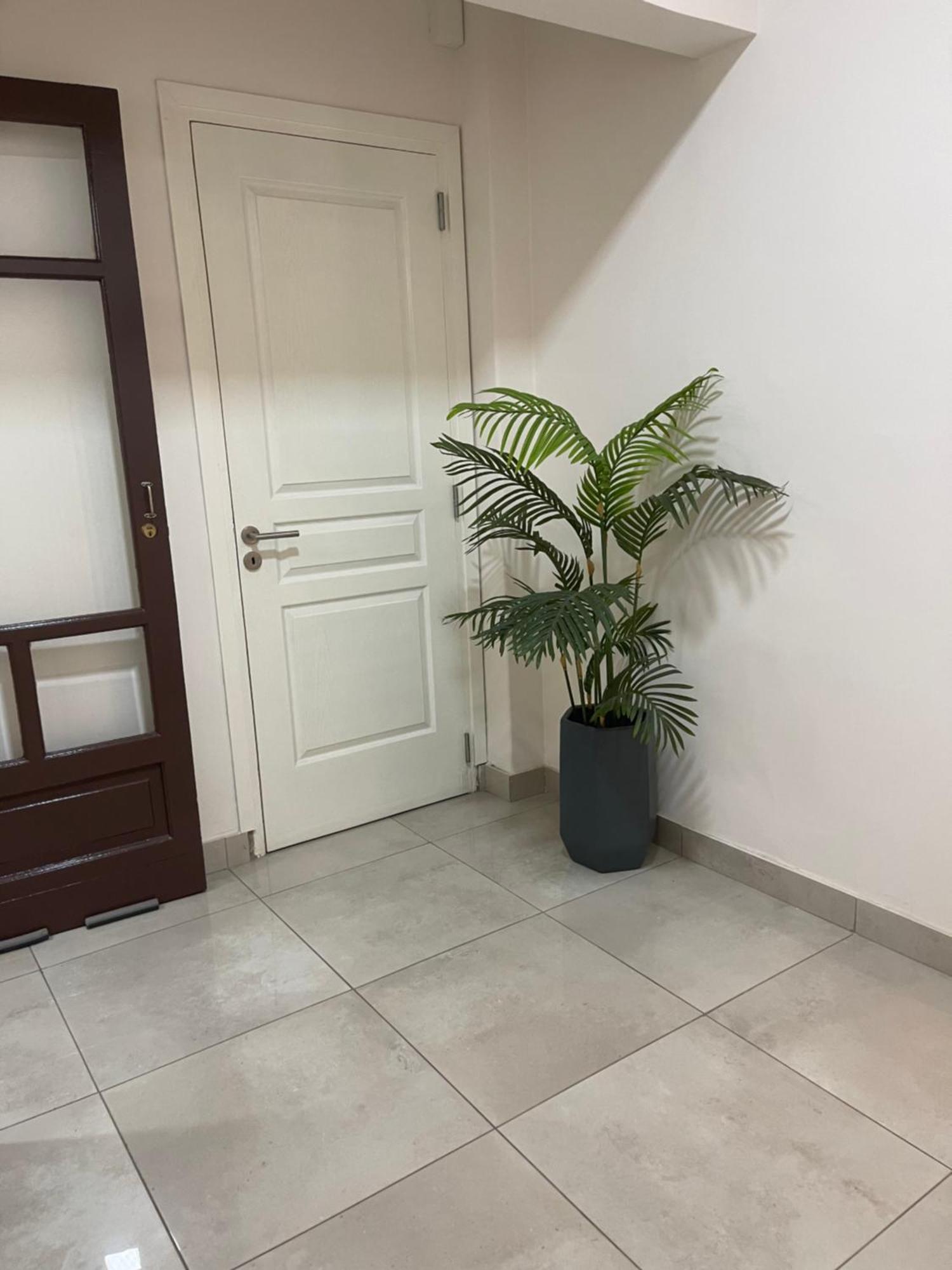 Apartamento Calido Departamento Centrico.