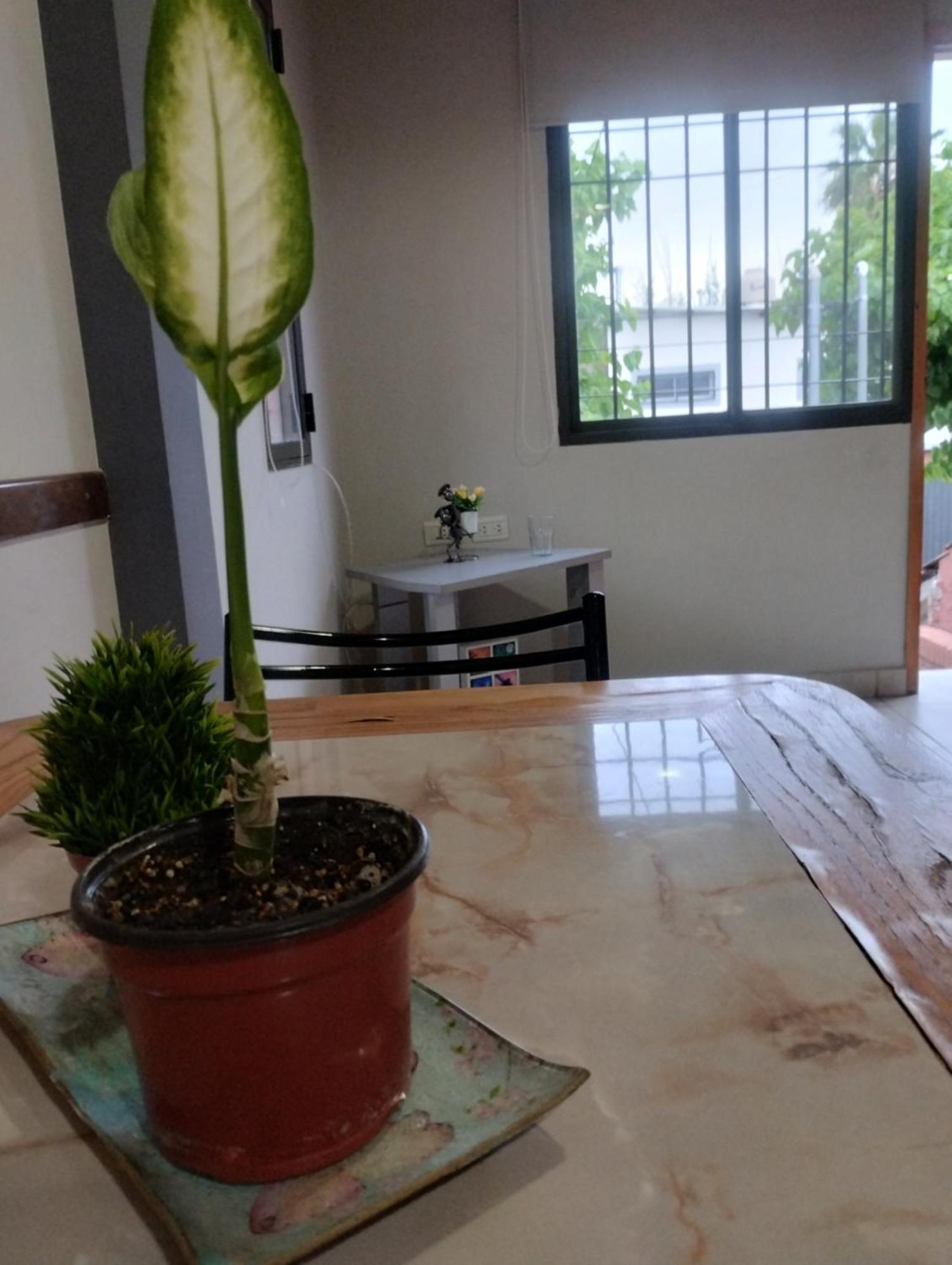 Apartment Sol Mendocino