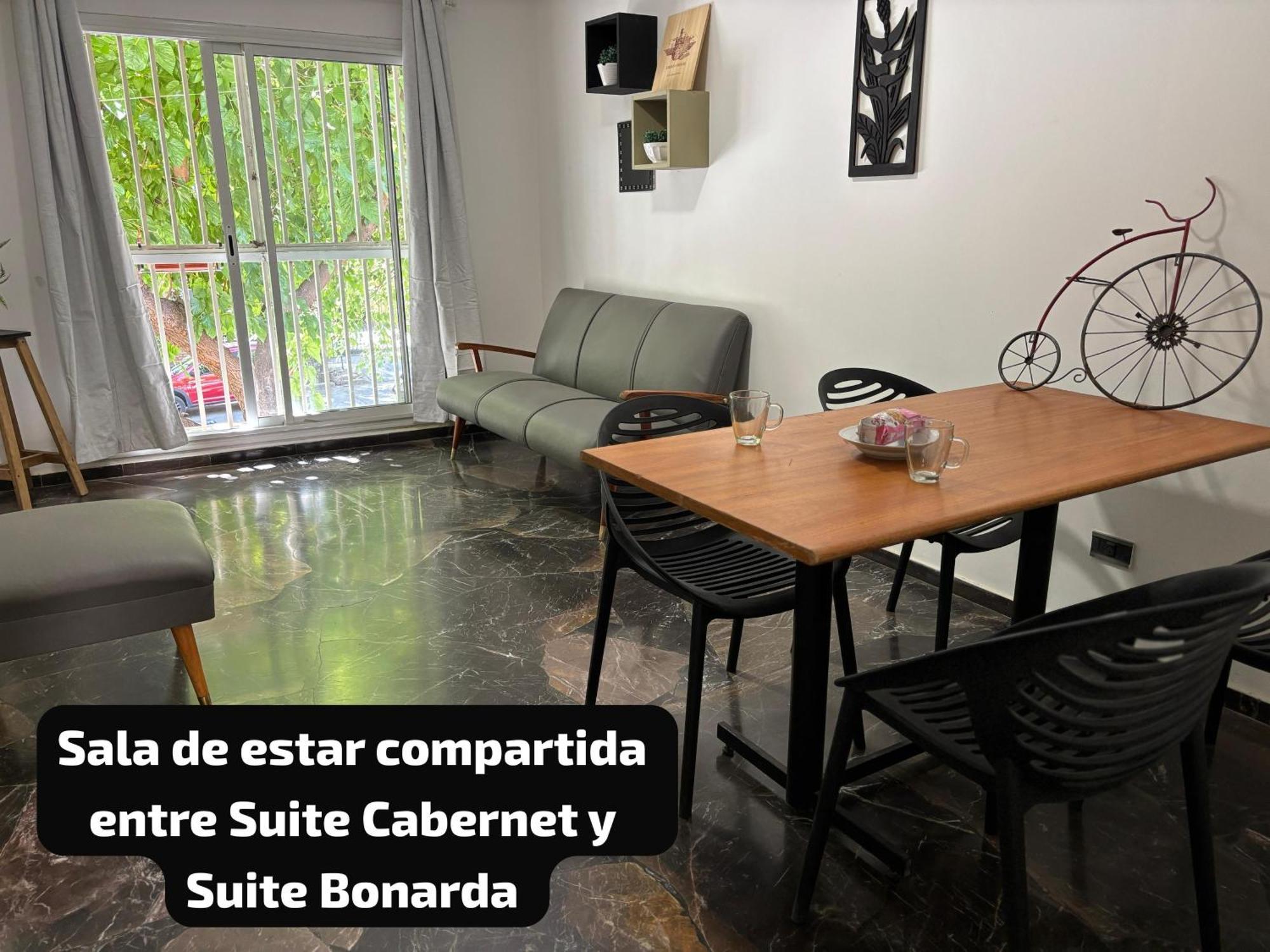 Holy Wine Apartment Mendoza