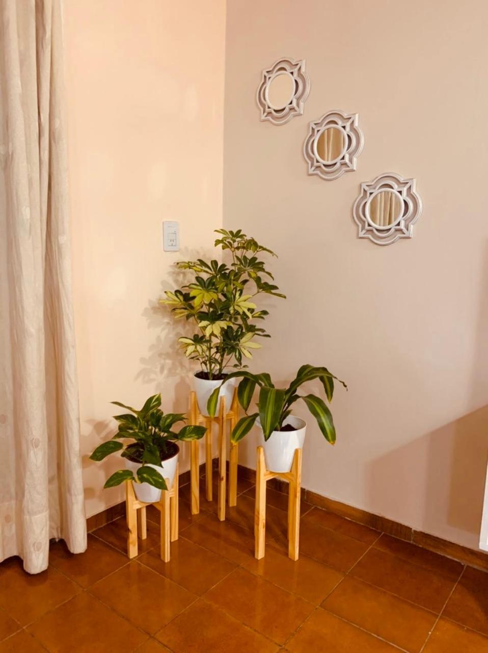 Apartamento Departamento Amplio Zona Centro De