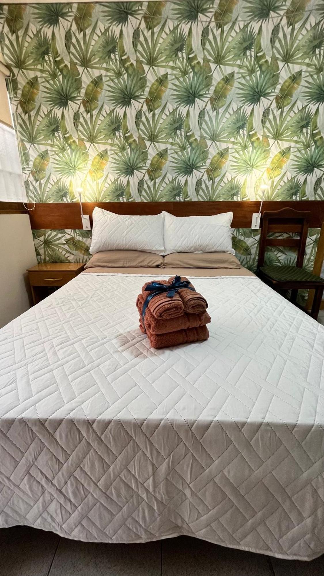 Apartamento Departamento Centrico Con Terraza Plaza Independencia Mendoza