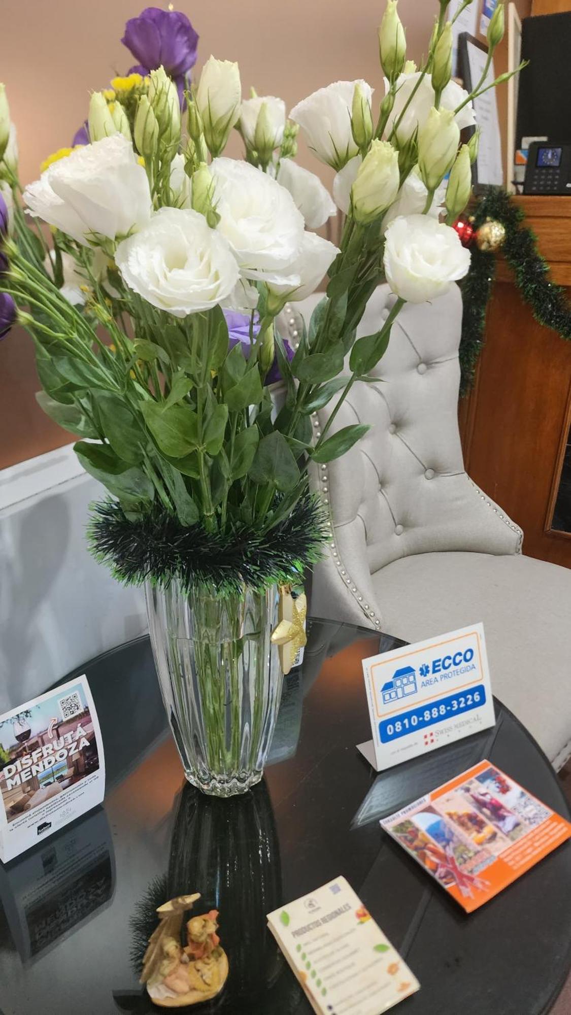 Esencial Hotel Mendoza