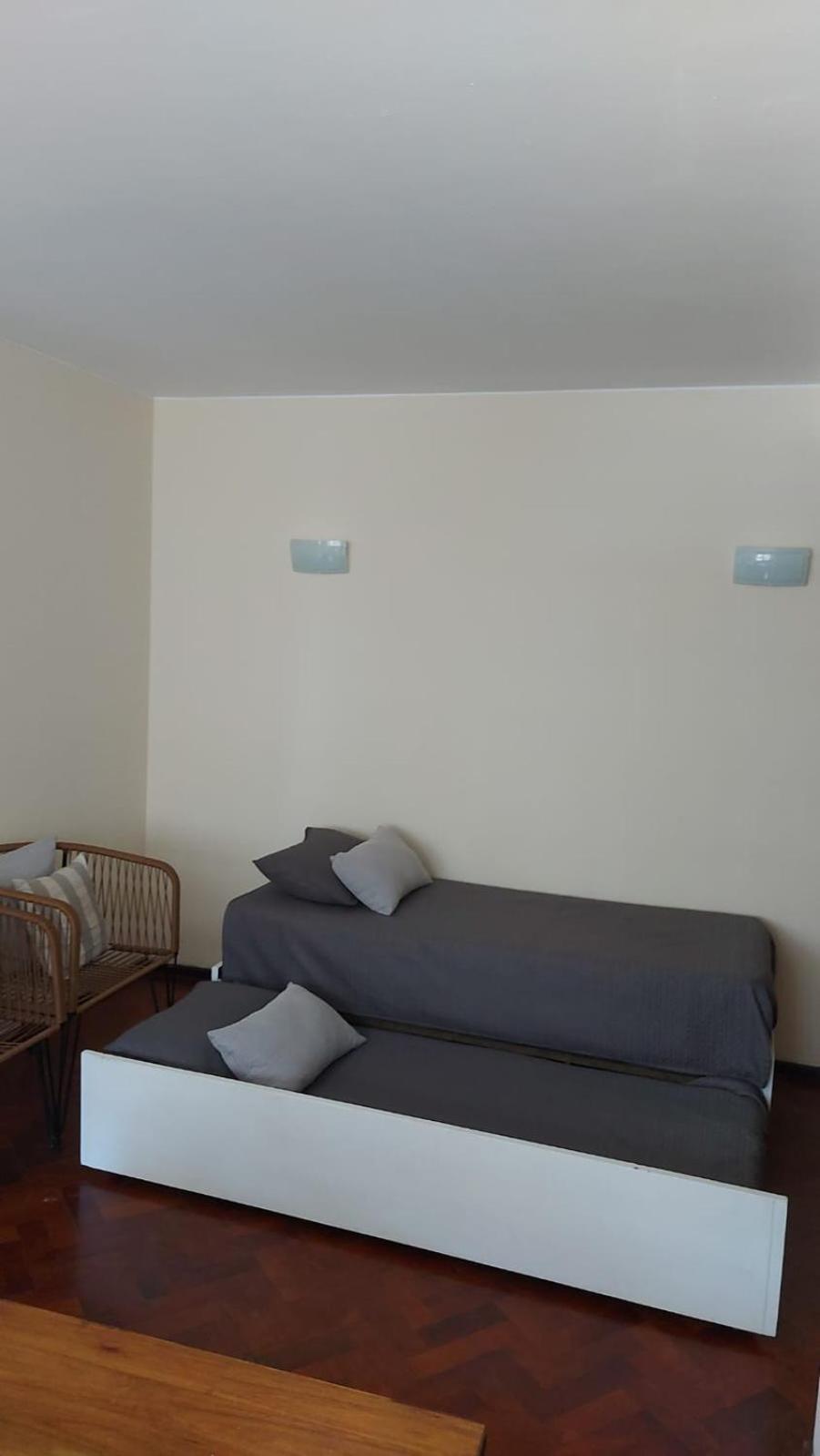 Pleno Centro Peatonal Hermoso Y Luminoso Departamento Apartamento