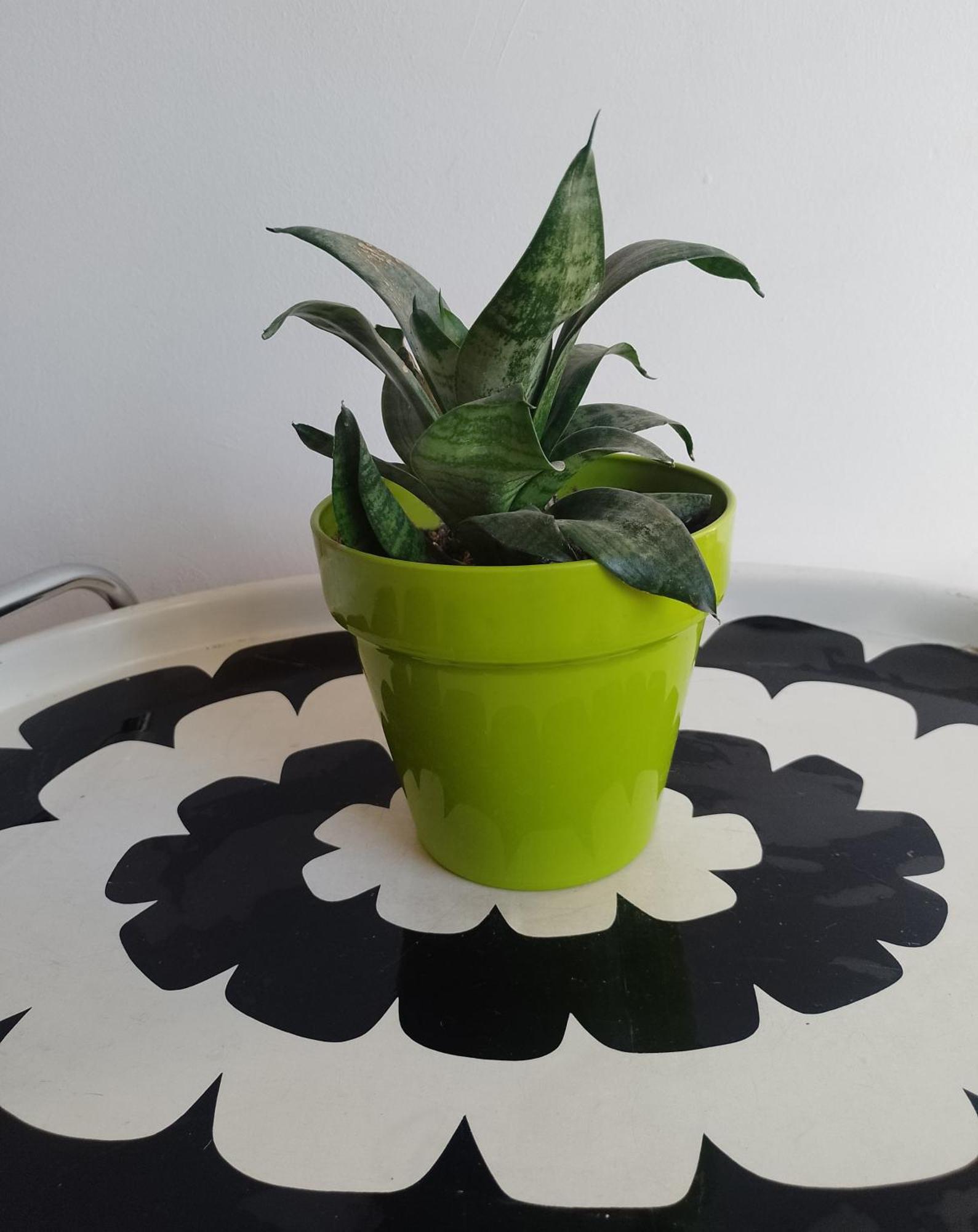 Apartamento Departamento Amplio En La Mejor Zona De Mendoza. Mendoza