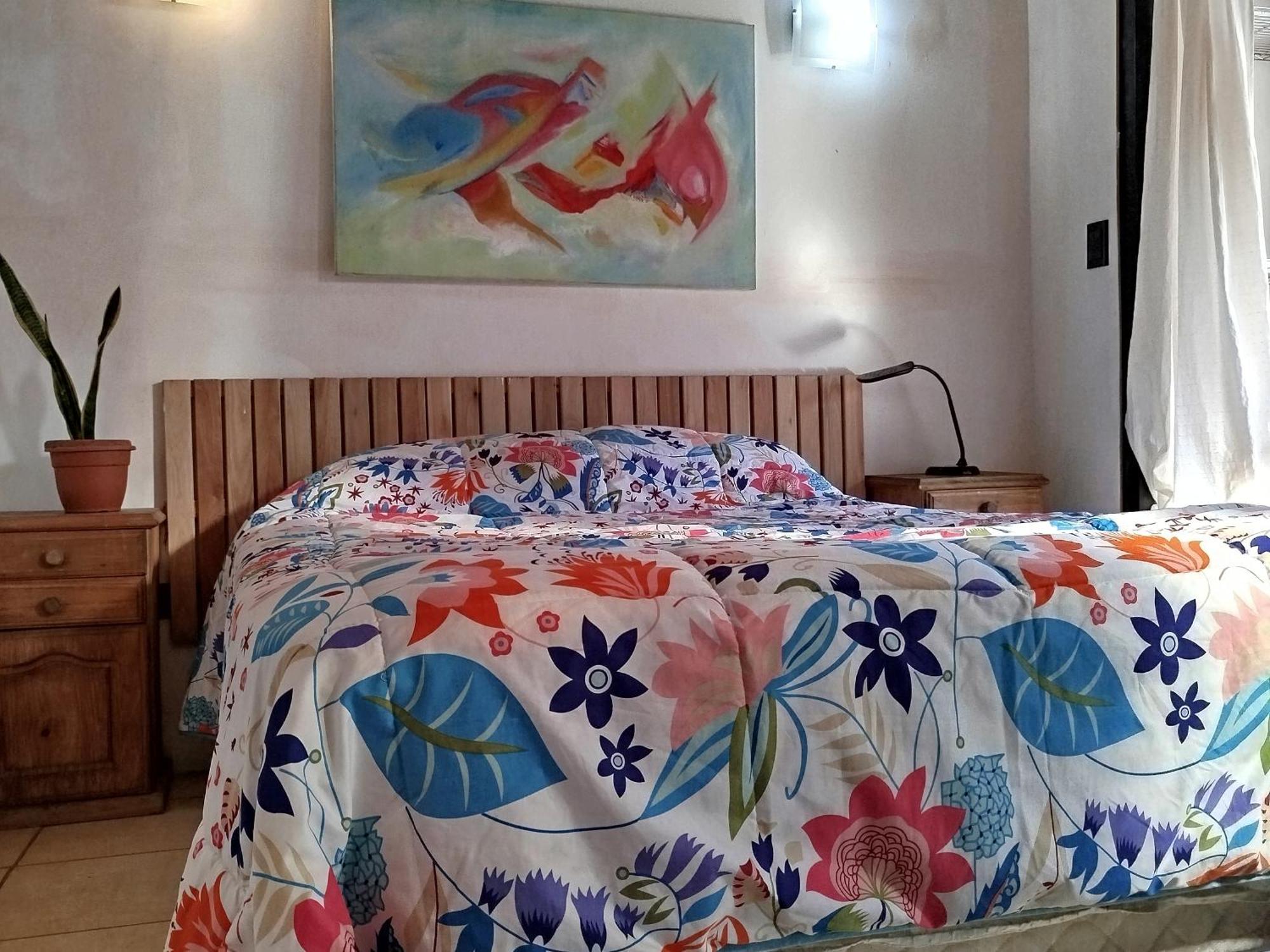 Mi Alma Deptos Apartamento Mendoza