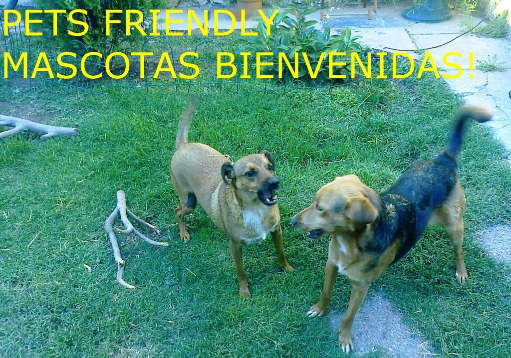 Chimbas * Mendoza