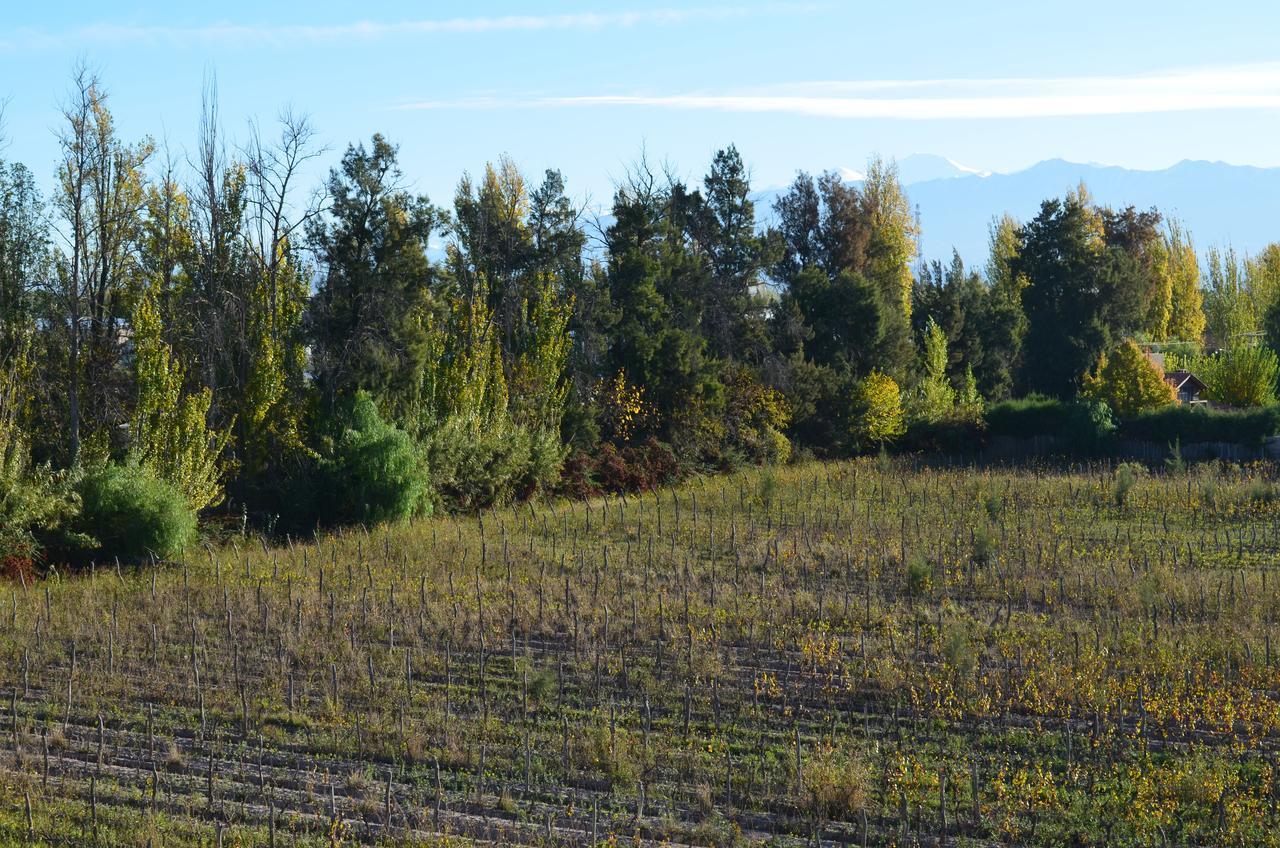Hermitage 4* Mendoza