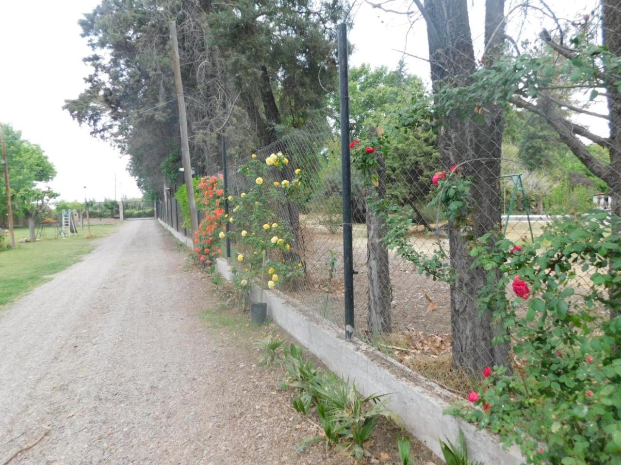 Mirmar